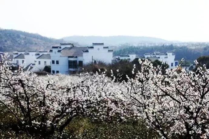 无法定位程序输入点EMP于动态链接库游戏画面