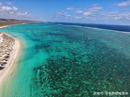 全民剧本大师内置菜单